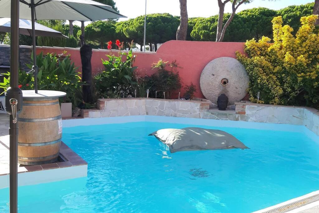 Hebergement Chambre D'Hotes Grau Du Roi Mas Des Marines Piscine Adult Only Льо Гро-дю-Роа Екстериор снимка